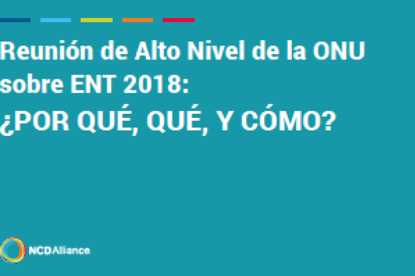 Reunión de Alto Nivel de la ONU sobre ENT: ¿Por qué, qué y cómo?